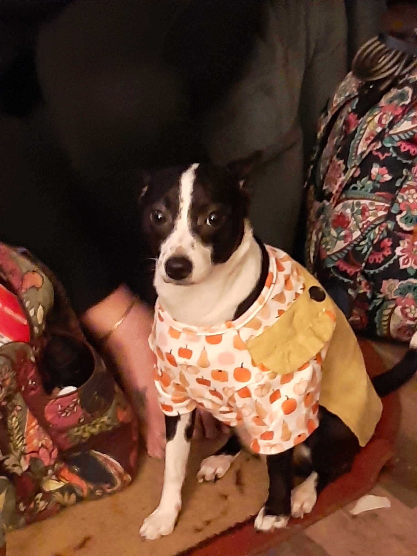 Oreo