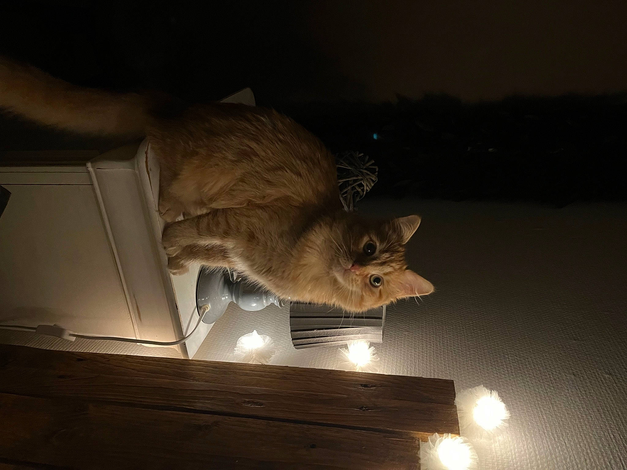 Nala