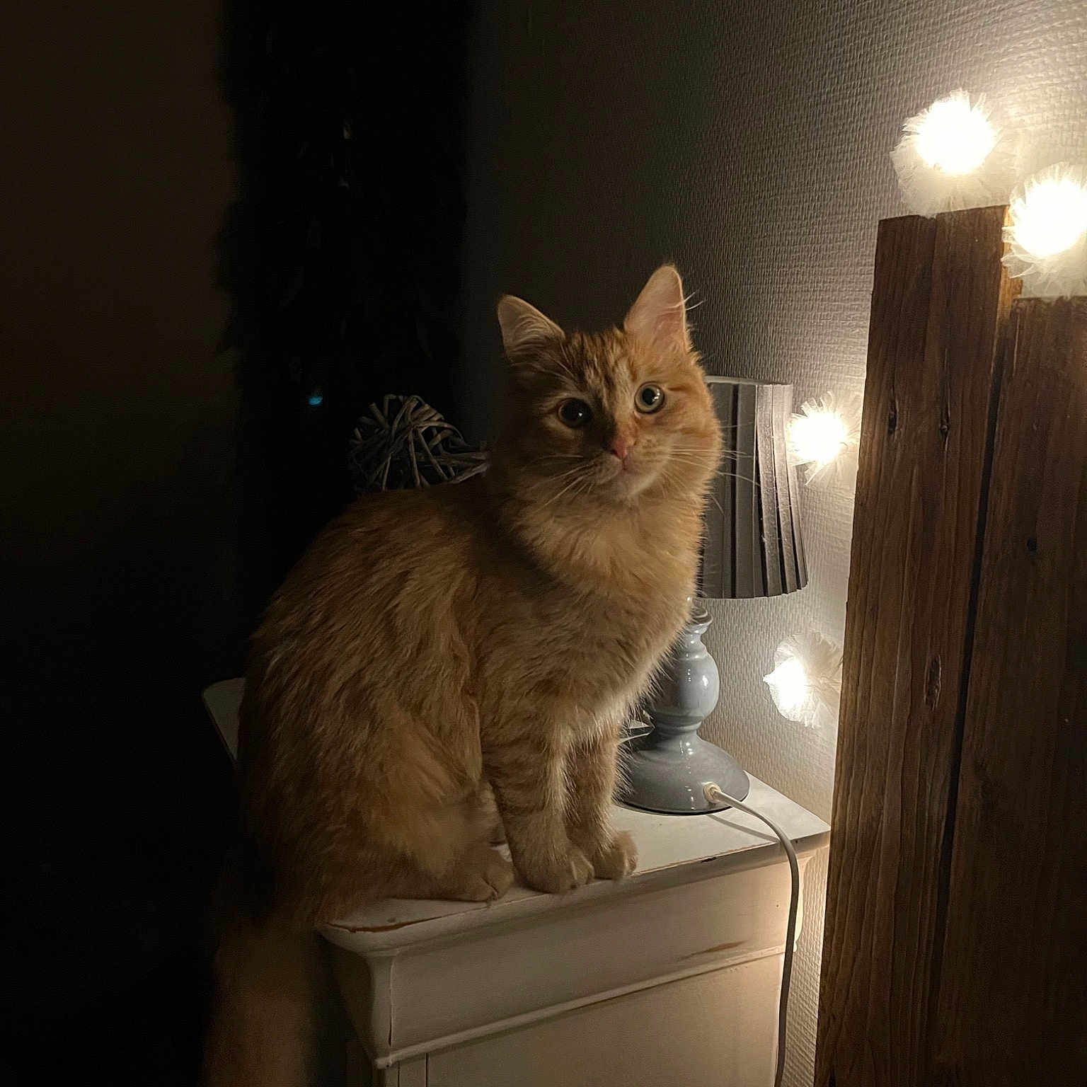 Nala