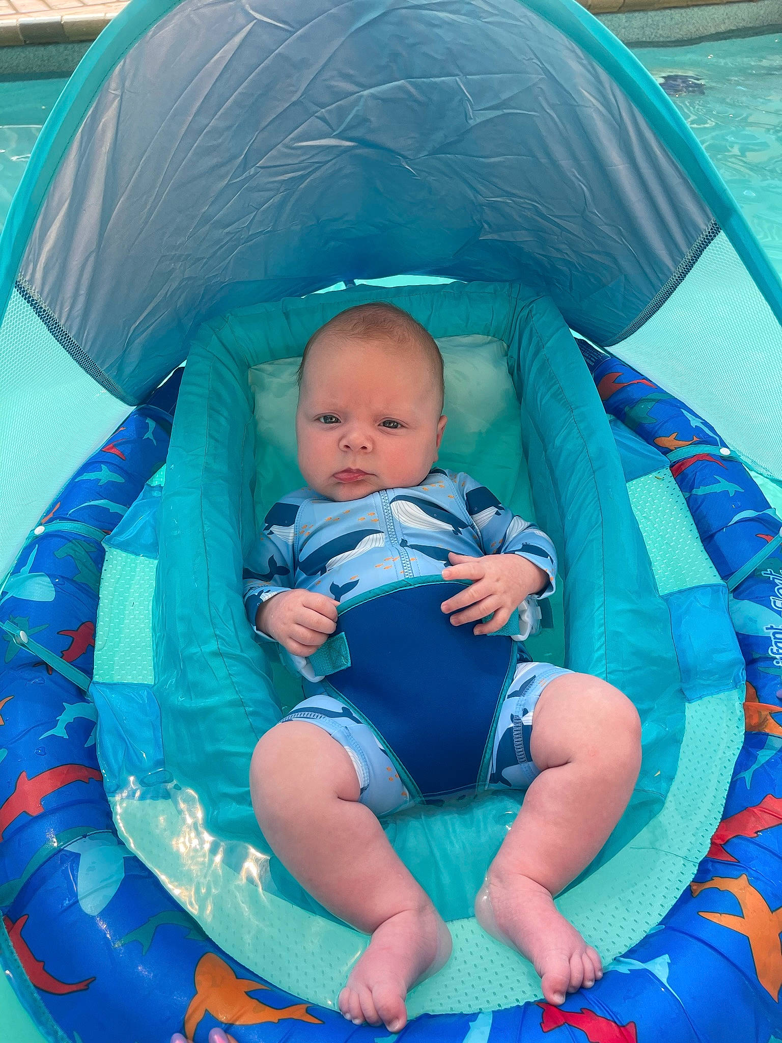 Jagger joined the competition — help win amazing prizes! aqua, azure, baby, baby_products, baby_toddler_clothing, blue, child, comfort, electric_blue, event, fun, happy, leisure, pattern, person, photograph, product, recreation, sitting, toddler