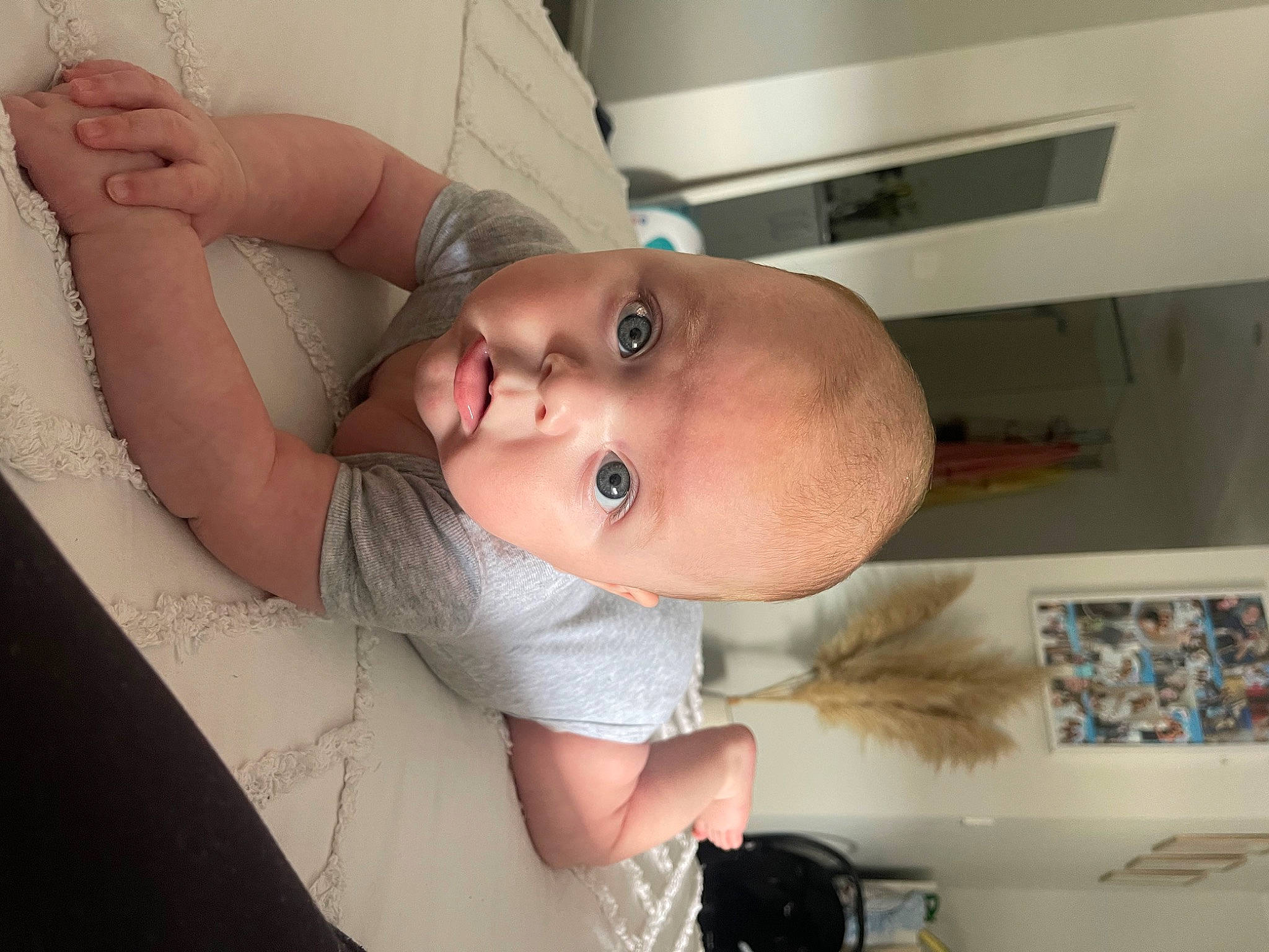 Jagger is registered to the contest to win money with this photo: abdomen, arm, baby, backpack, chest, child, comfort, ear, elbow, eyebrow, eyelash, luggage_and_bags, mouth, neck, nose, person, room, skin, smile, toddler