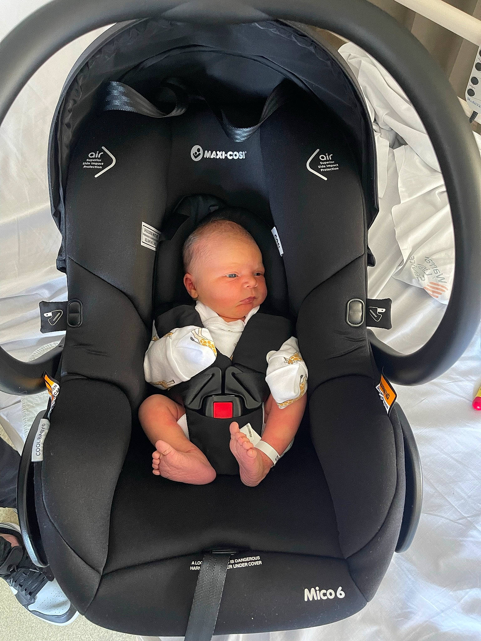 Jagger joined the competition — help win amazing prizes! auto_part, automotive_design, baby, baby_products, baby_safety, baby_toddler_clothing, car_seat, car_seat_cover, child, comfort, family_car, head_restraint, luxury_vehicle, mode_of_transport, motor_vehicle, person, personal_luxury_car, plant, sitting, steering_wheel