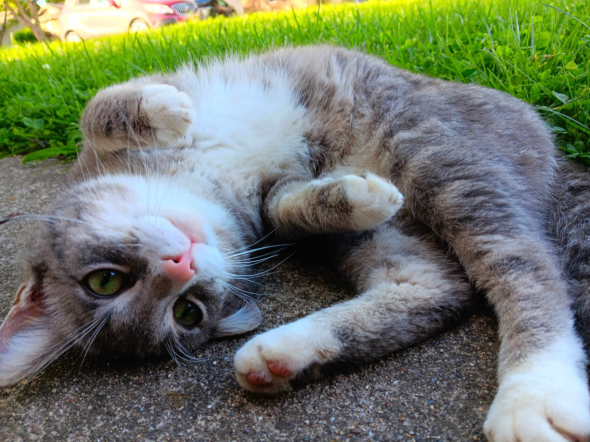 Soju