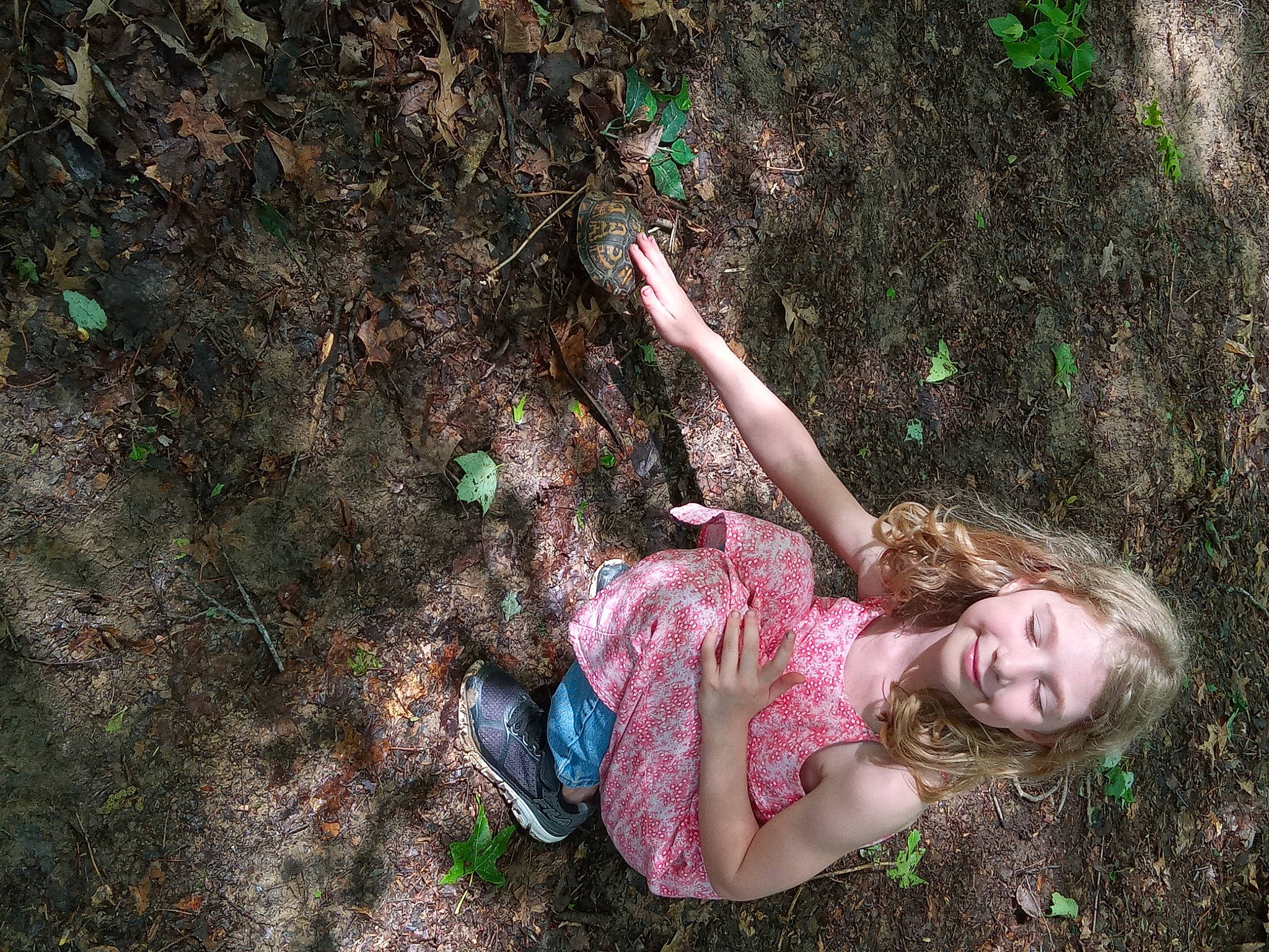 Leslie is registered to the contest to win money with this photo: adventure, child, forest, fun, grass, happy, joy, jungle, leaf, leisure, magenta, people_in_nature, person, recreation, rock, sitting, soil, terrestrial_plant, toddler, trunk