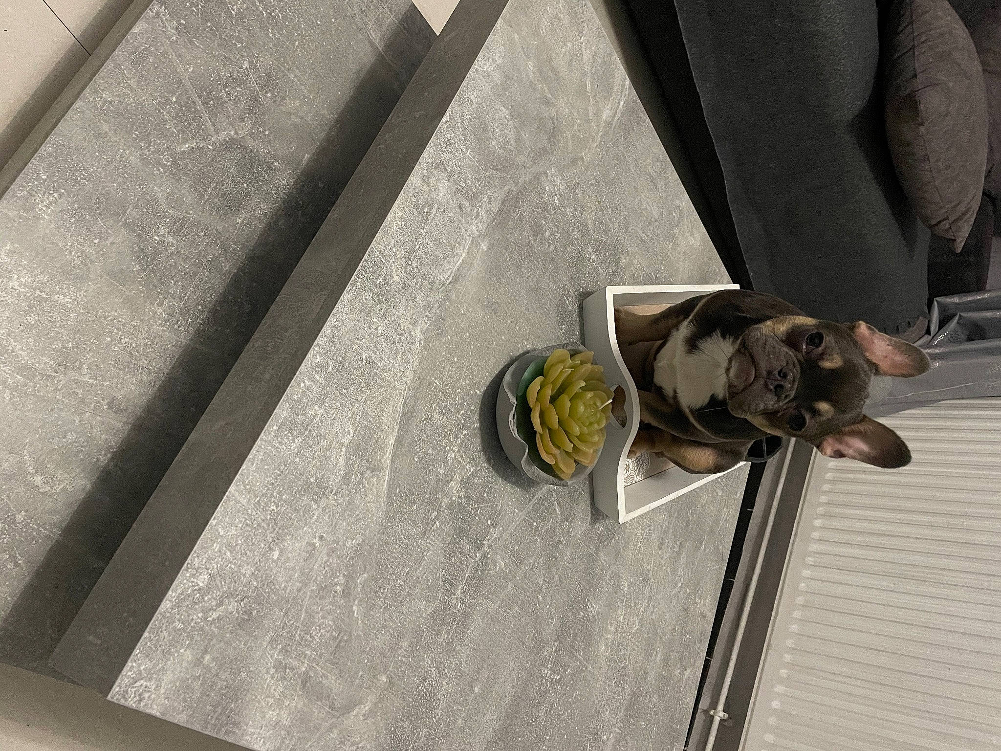 Rio participe au concours pour gagner de l'argent avec cette photo : ceiling, circle, door, floor, flooring, glass, grey, hardwood, human_leg, metal, outdoor_shoe, pattern, road_surface, room, shadow, symmetry, tile, tints_and_shades, walking_shoe, wood