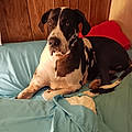 Helen G.