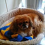 Erny participe au concours pour gagner de l'argent avec cette photo :