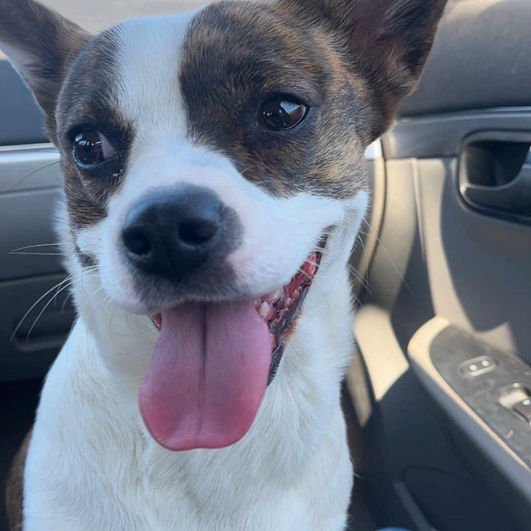 Lucy