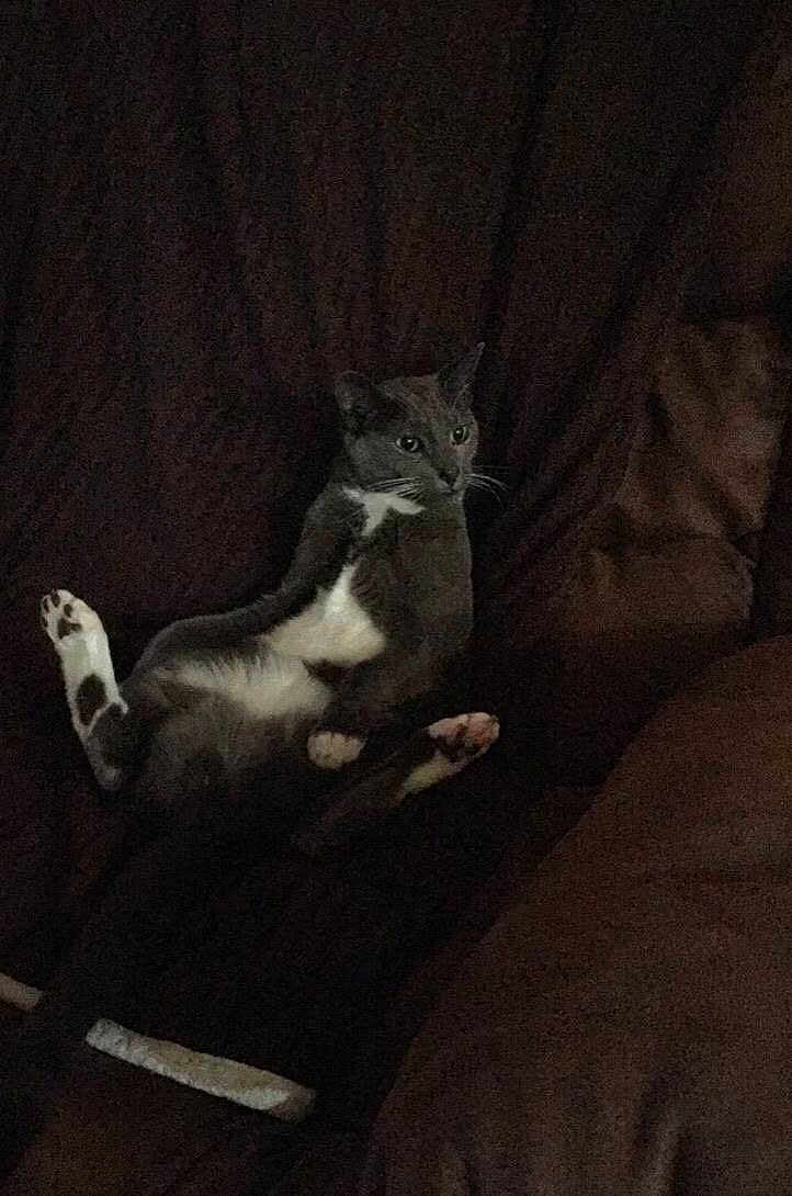 Marley