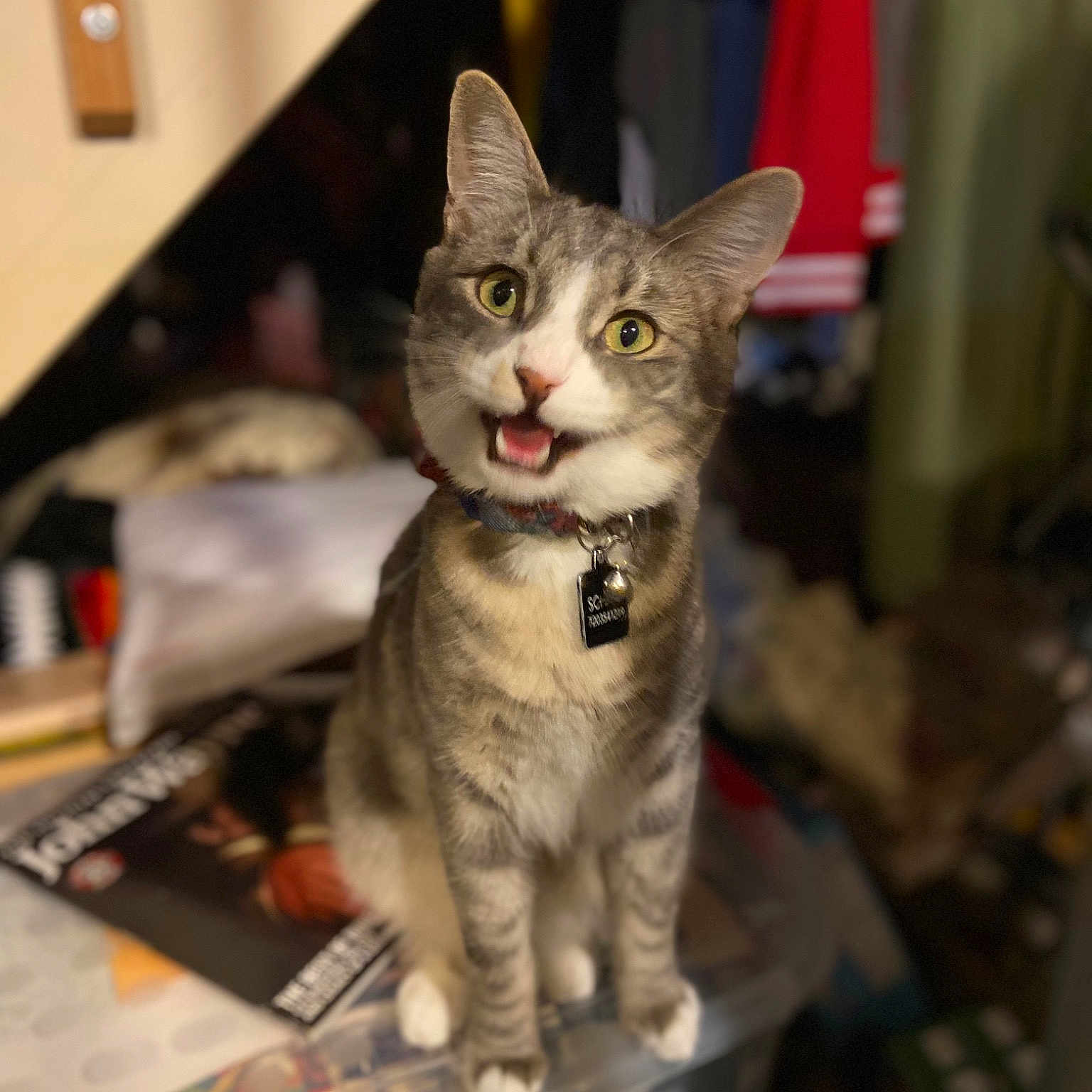 Emmett