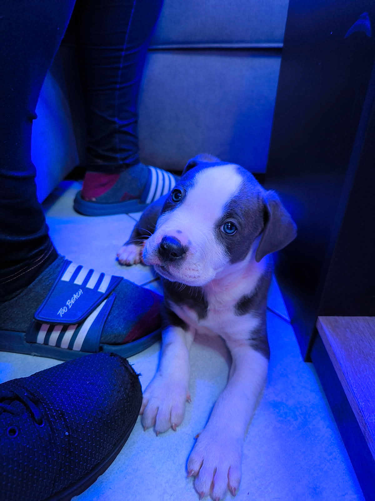 Tyson