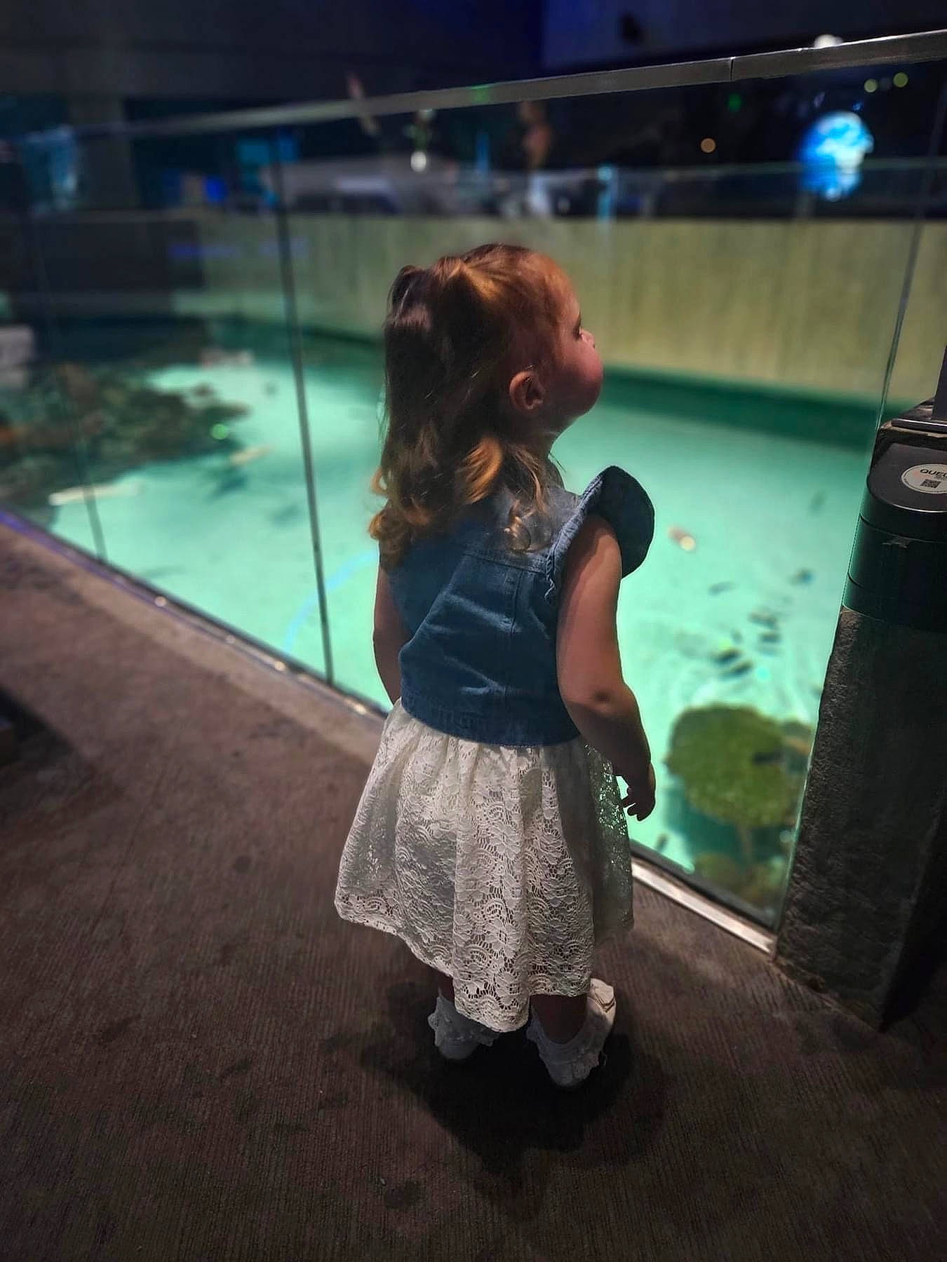 Raelyn joined the competition — help win amazing prizes! child, darkness, entertainment, event, flooring, fun, games, glass, human_leg, indoor_games_and_sports, leisure, night, person, recreation, sandal, sitting, standing, swimming_pool, toddler, vacation