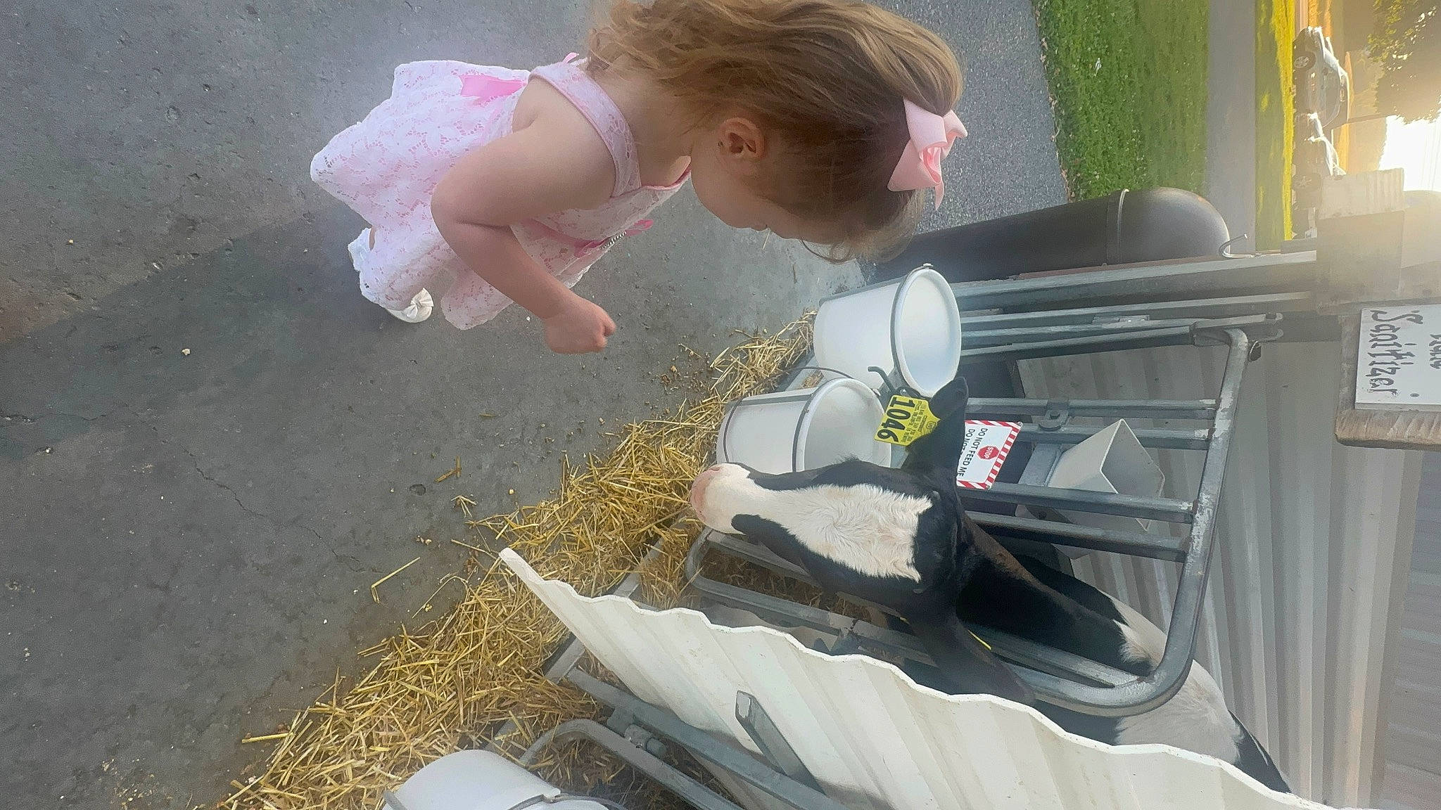 Raelyn joined the competition — help win amazing prizes! asphalt, auto_part, automotive_design, automotive_exterior, automotive_lighting, automotive_tail_brake_light, automotive_tire, automotive_wheel_system, automotive_window_part, bumper, concrete, family_car, gas, grass, hood, person, soil, toddler, vehicle, vehicle_door