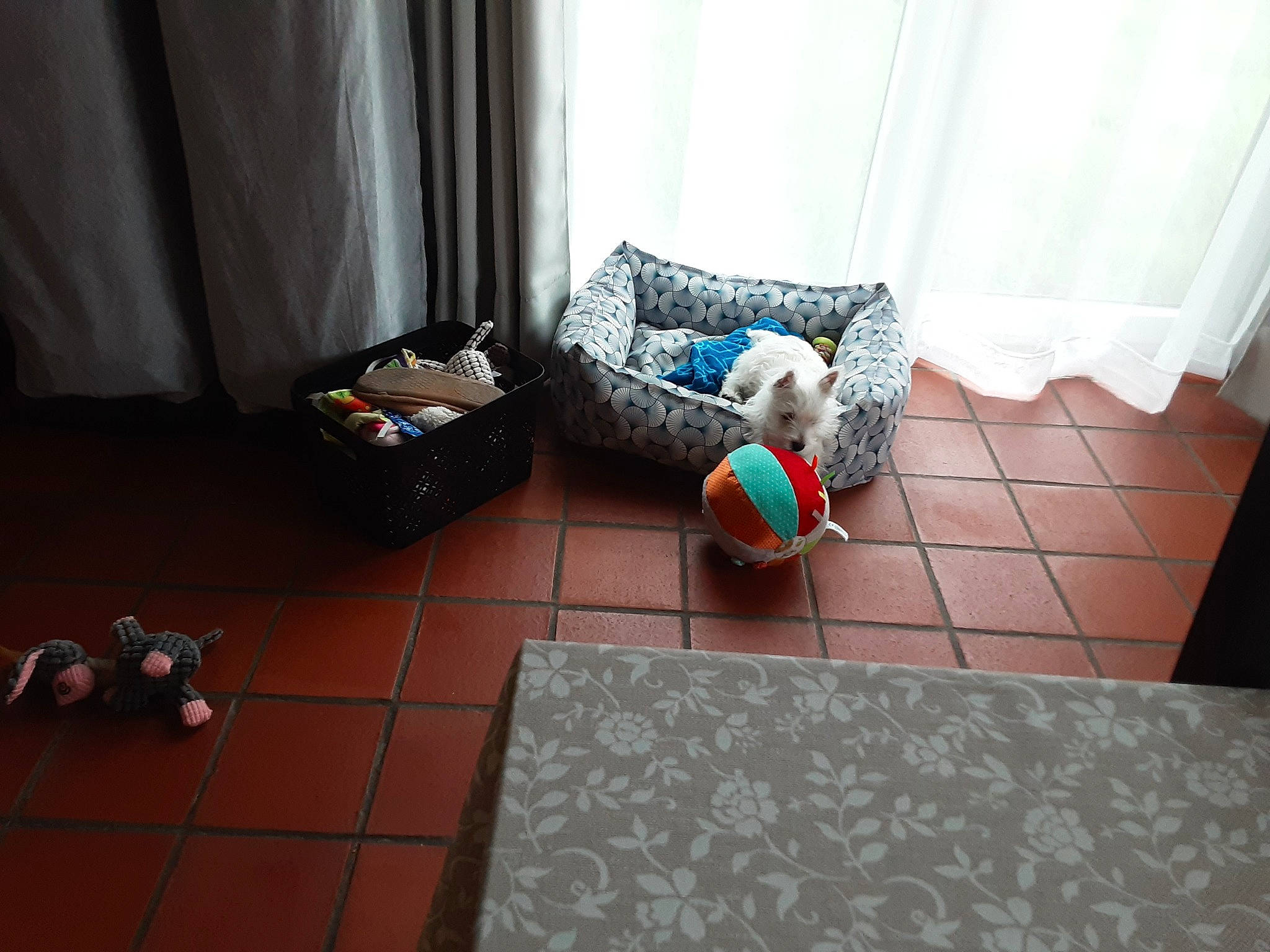 Urielle a rejoint le concours — aidez-le/la à gagner de superbes lots ! carpet, chair, comfort, couch, curtain, floor, flooring, grass, hardwood, house, human_leg, laminate_flooring, leisure, living_room, room, sitting, throw_pillow, tile, wood, wood_flooring