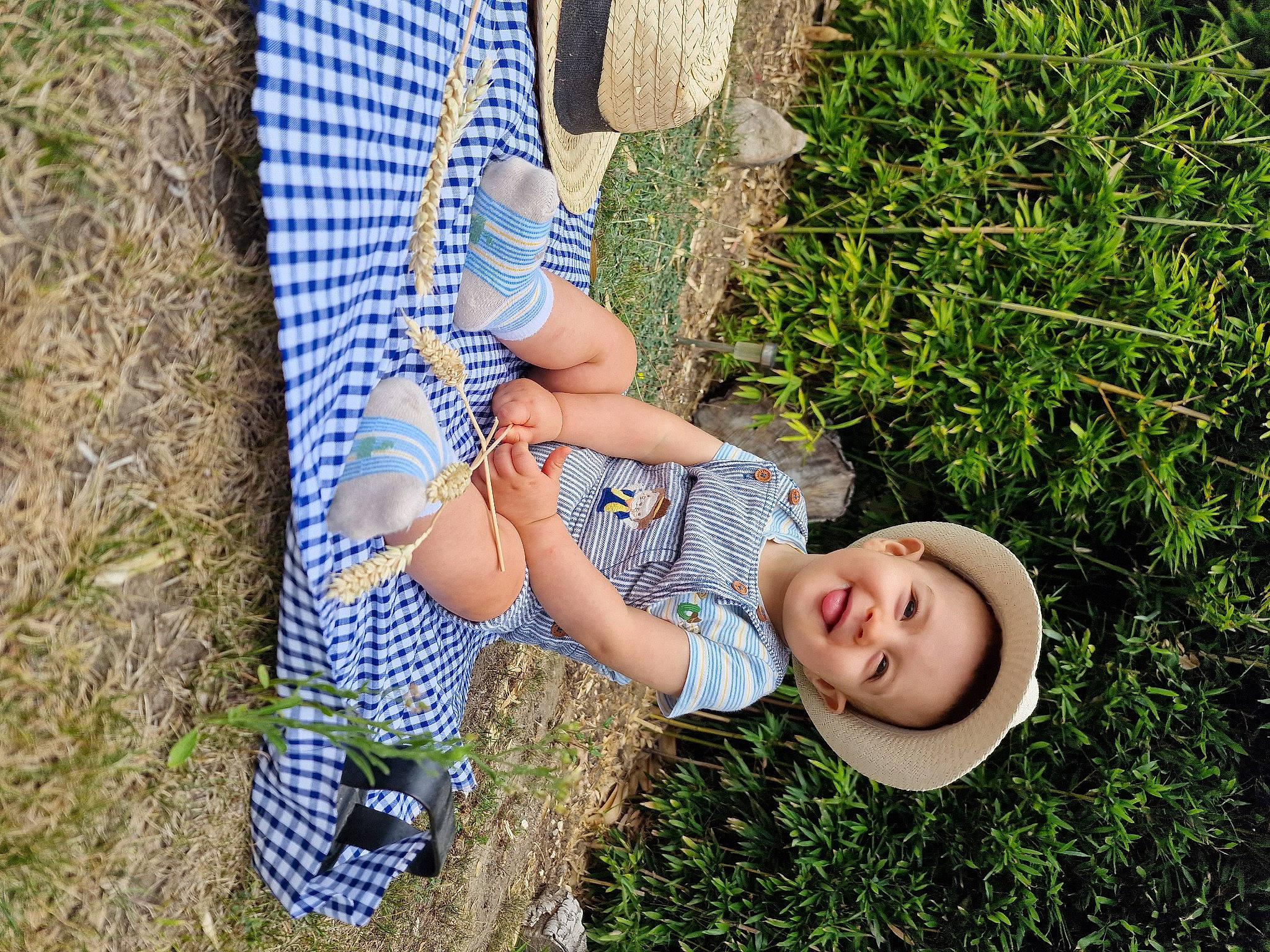 Robin participe au concours pour gagner de l'argent avec cette photo : baby, electric_blue, fun, gesture, grass, grass_family, grassland, hand, happy, human_leg, joy, lawn, leaf, leisure, meadow, pattern, people_in_nature, person, plant, sitting