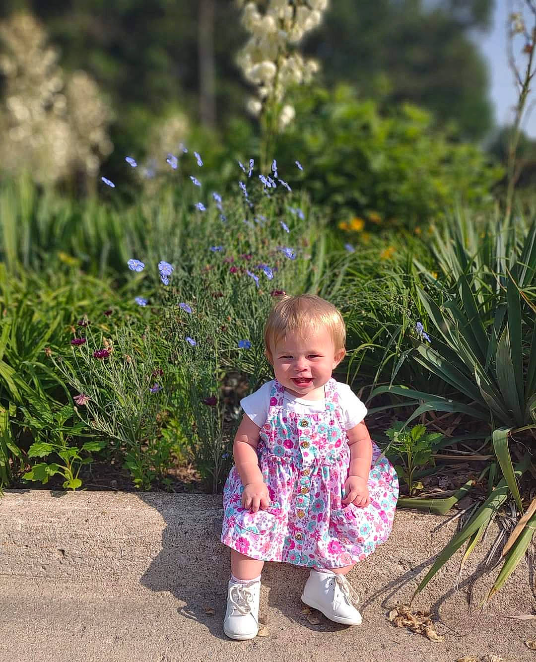Rosey is registered to the contest to win money with this photo: arecales, baby, baby_toddler_clothing, child, flower, grass, grass_family, groundcover, happy, landscape, leaf, leisure, people_in_nature, person, plant, shrub, smile, summer, terrestrial_plant, toddler
