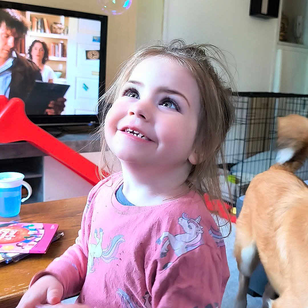 Maurane participe au concours pour gagner de l'argent avec cette photo : book, bubble, cage, casual_clothing, child, cup, curly_hair, dog, furniture, girl, happy, indoor, living_room, person, slide, smiling, television, toy, unicorn_shirt, wall_art