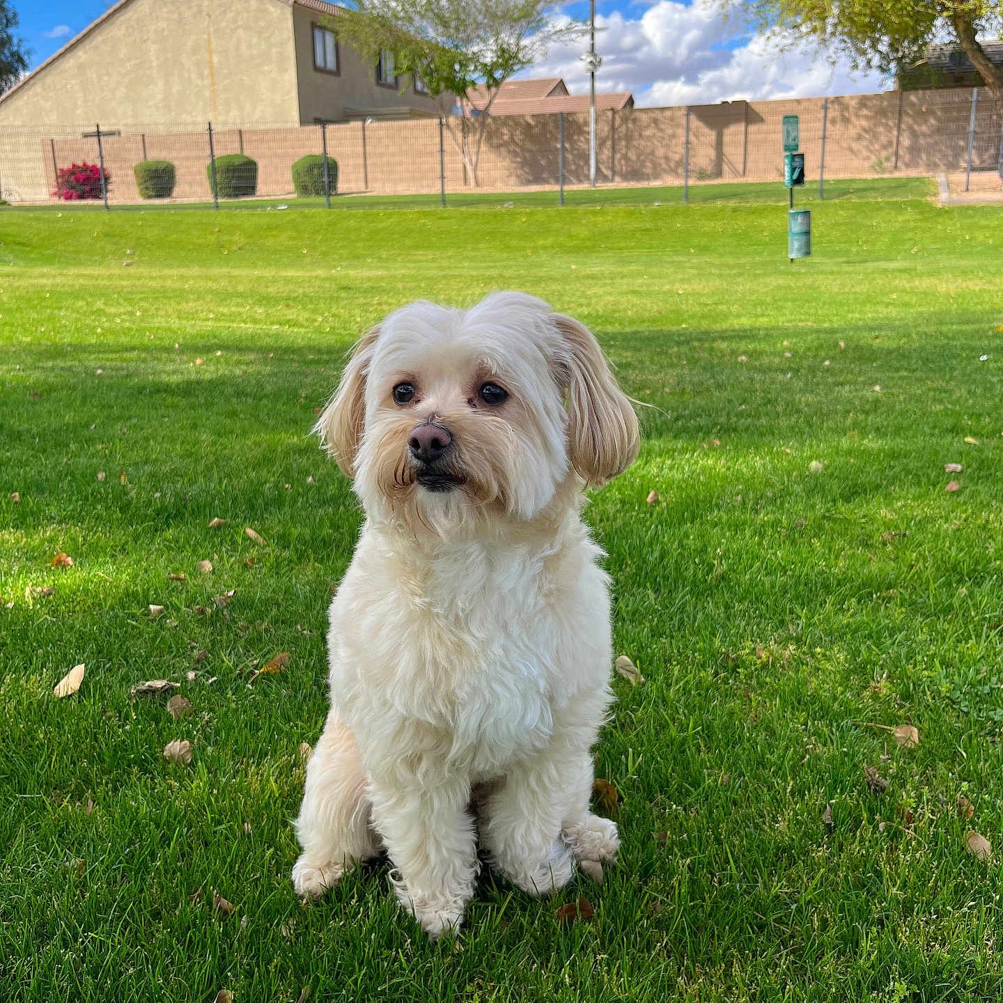 Theodore