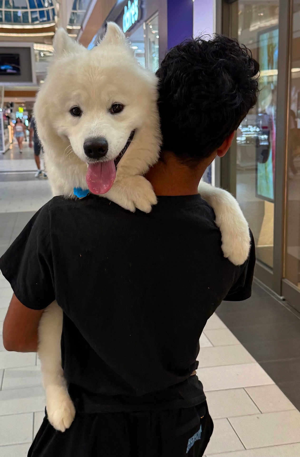 Enzo