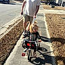 adult, autumn, child, driveway, family, halloween, houses, leaves, neighborhood, outdoor, parent, riding, shadows, sidewalk, skeleton_costume, smiling, street, sunlight, toddler, tricycle