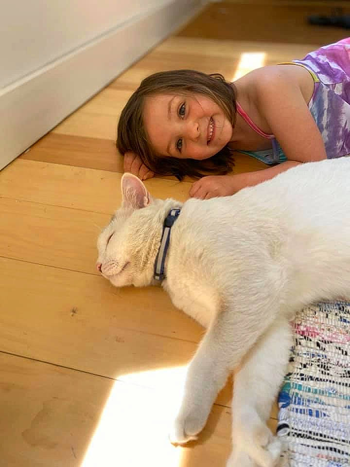 Isabelle is registered to the contest to win money with this photo: canidae, carnivore, dog, dog_breed, ear, fawn, joy, leg, non_sporting_group, person