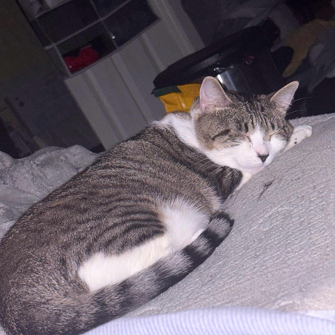 Athena