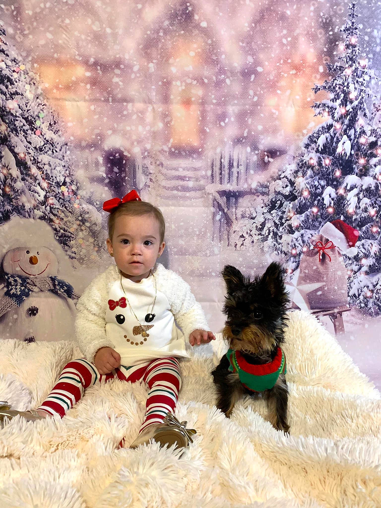 Annabella joined the competition — help win amazing prizes! baby_toddler_clothing, carnivore, christmas, christmas_decoration, christmas_eve, christmas_tree, costume_accessory, dog, dog_breed, dog_clothes, dog_supply, fur, holiday, human, interior_design, mammal, person, sporting_group, terrier, vertebrate