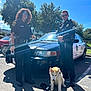 police, officers, uniform, dog, puppy, husky, police_car, vehicle, sunglasses, outdoor, daylight, trees, blue_sky, shadows, leash, street, people, law_enforcement, parked_car, sunlight