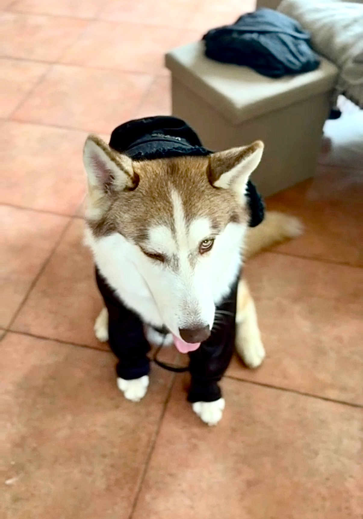Vasko