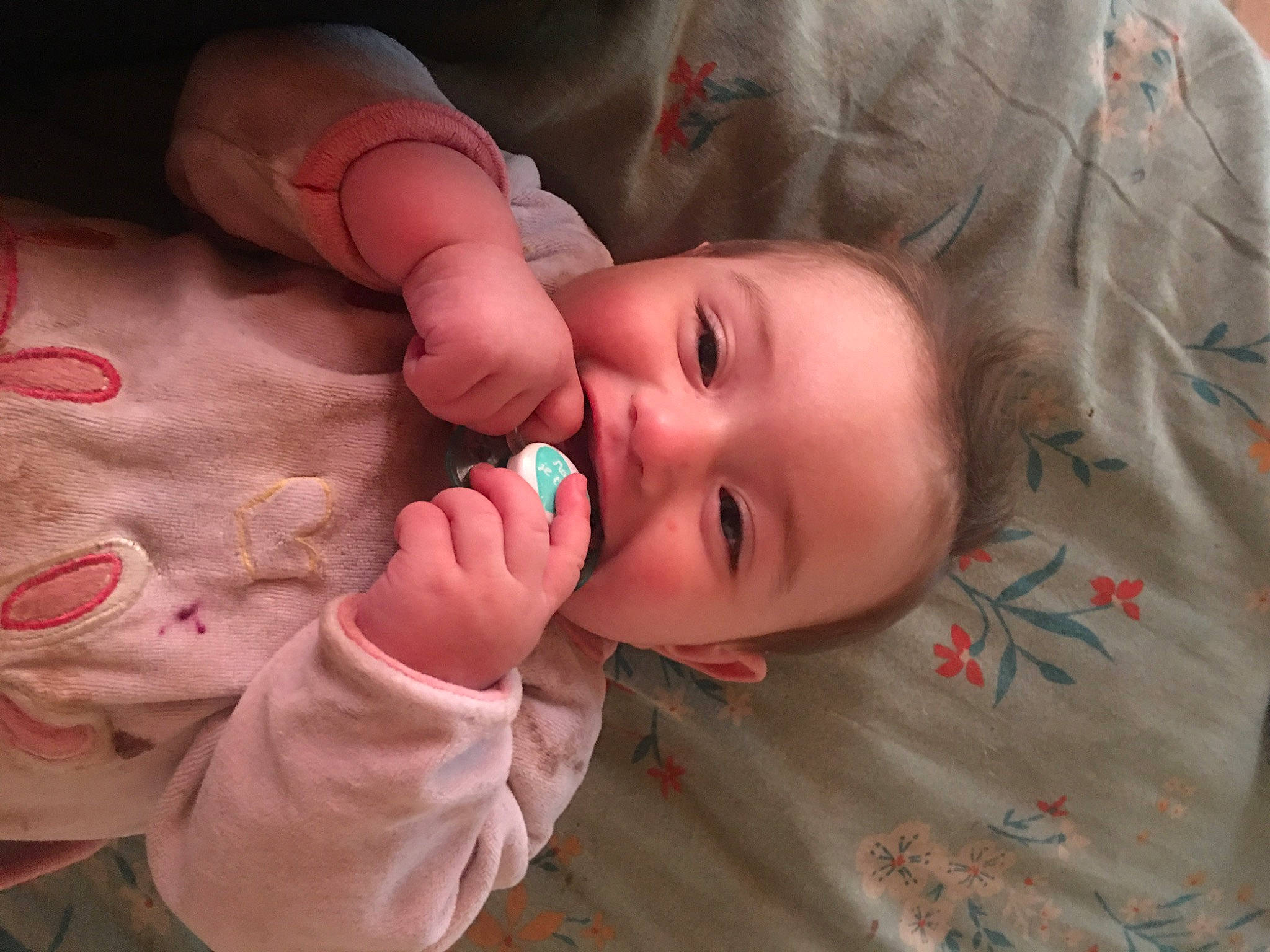 Lorenza participe au concours pour gagner de l'argent avec cette photo : baby, cheek, child, ear, eye, face, finger, head, joy, lip, mouth, nose, person, skin, toddler