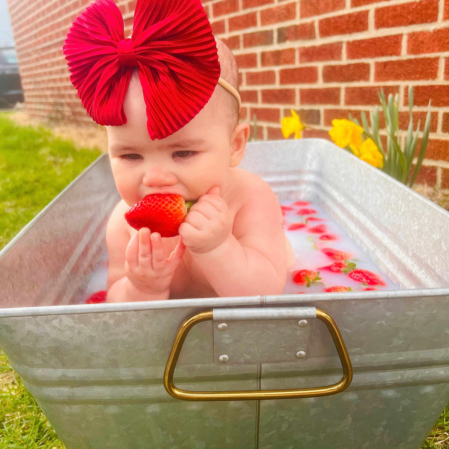 Ashari joined the competition — help win amazing prizes! baby, bathing, berry, brick, clothing, face, flower, food, fruit, grass, hat, head, person, petal, photography, plant, portrait, pottedplant, produce, summer