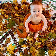 Lyo a rejoint le concours — aidez-le/la à gagner de superbes lots ! baby, pumpkin, autumn_leaves, fall, child, nature, orange, leaf, sitting, cute, seasonal, harvest, outdoor, playful, barefoot, skin, holiday, decoration, harvest_festival, festive