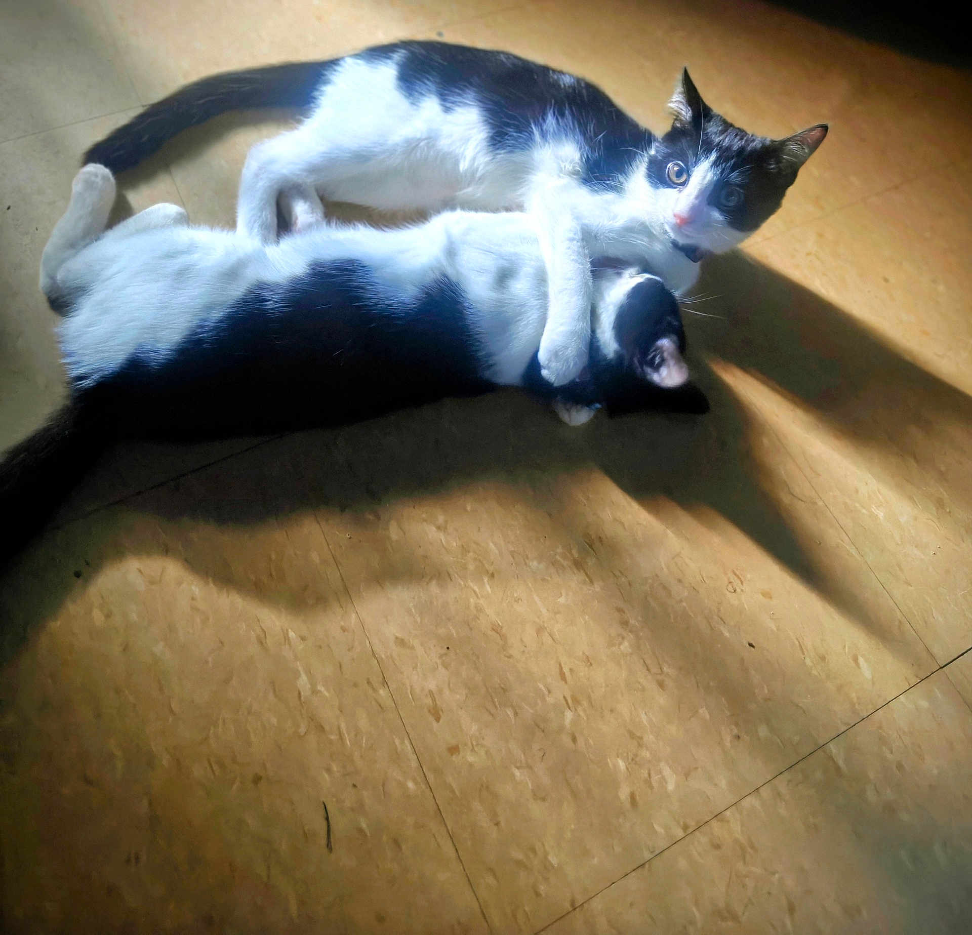 Jack And Jill