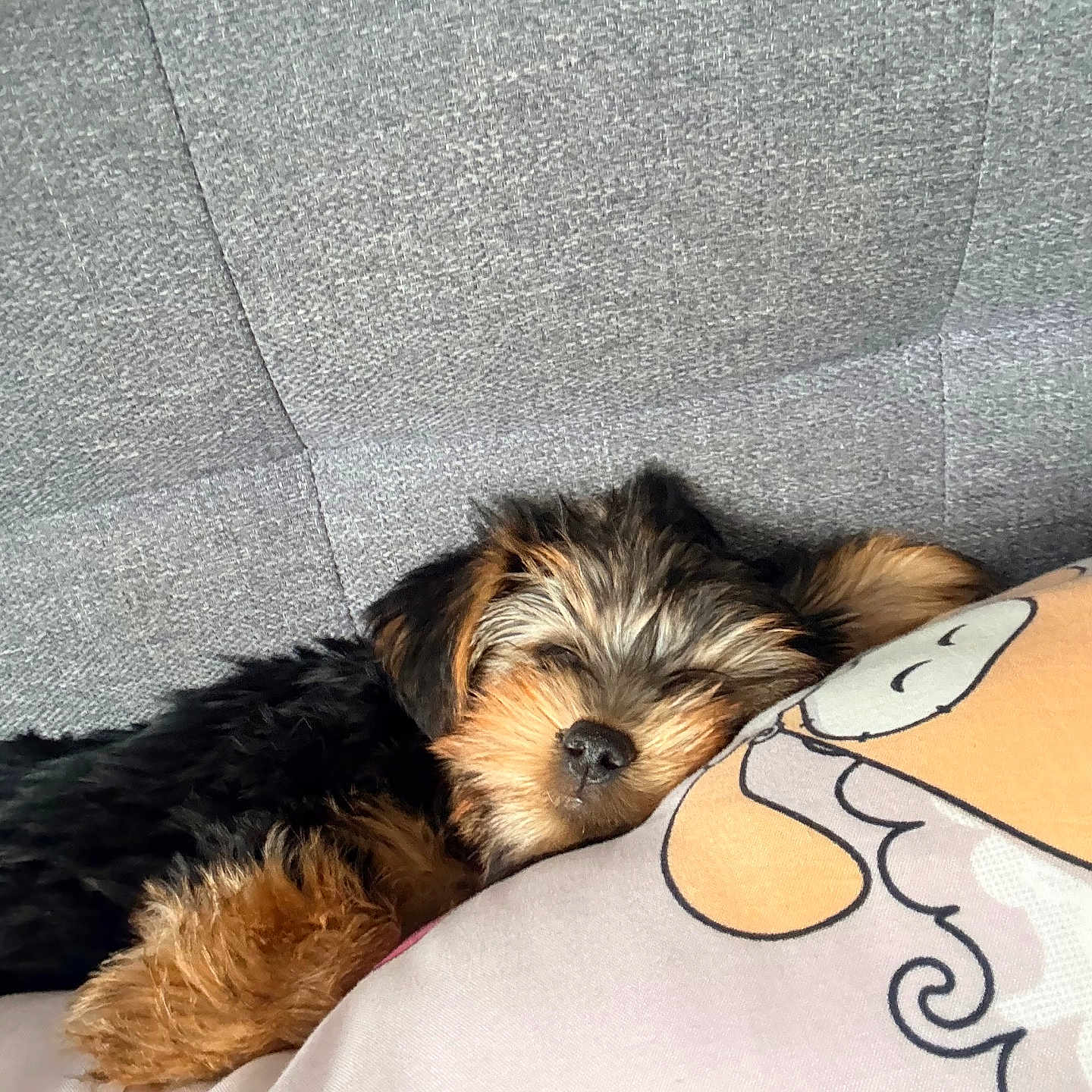 Luna