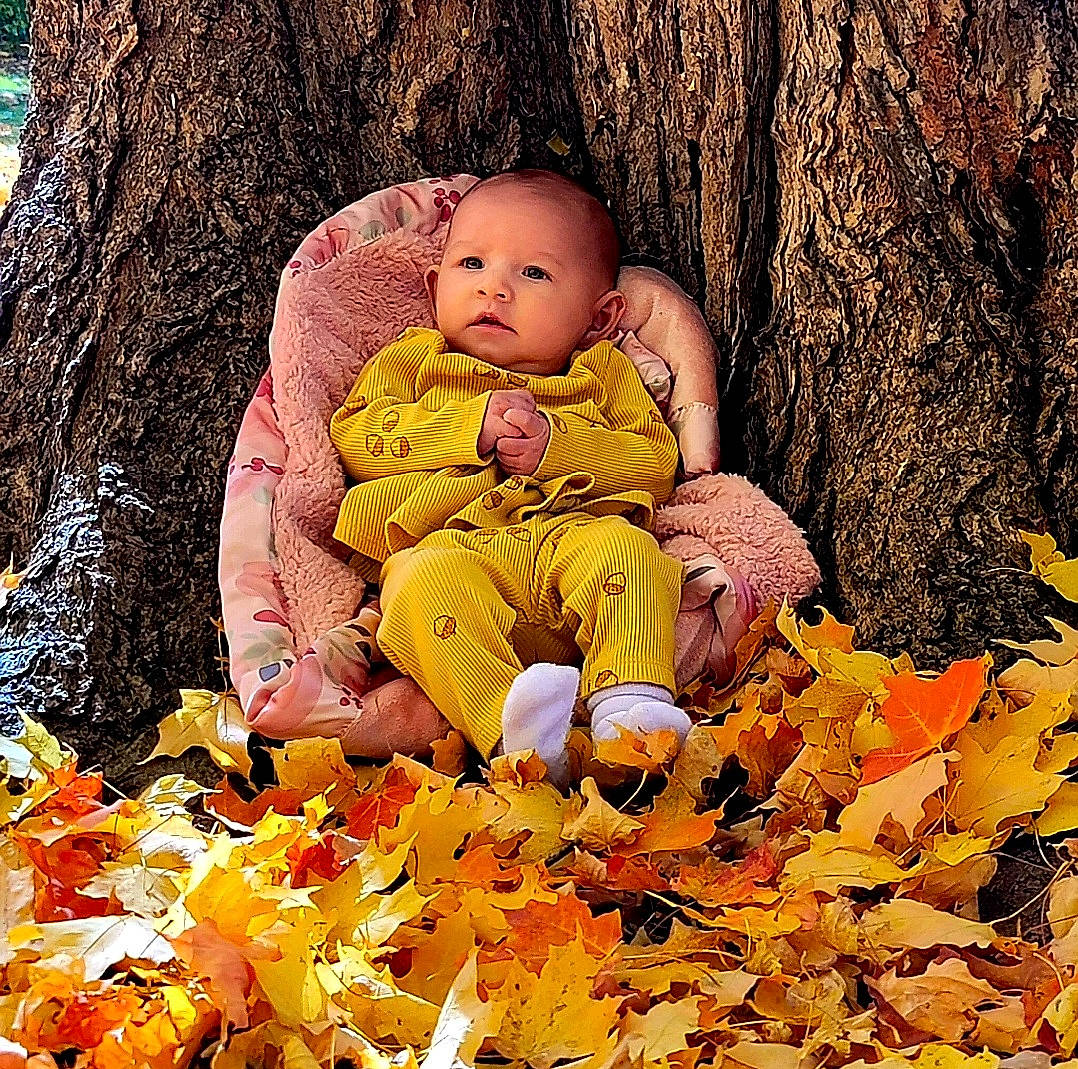 Lilith joined the competition — help win amazing prizes! baby, baby_toddler_clothing, botany, child, deciduous, fun, grass, happy, leaf, people_in_nature, person, plant, playing_with_kids, sitting, spring, tints_and_shades, toddler, tree, trunk, wood