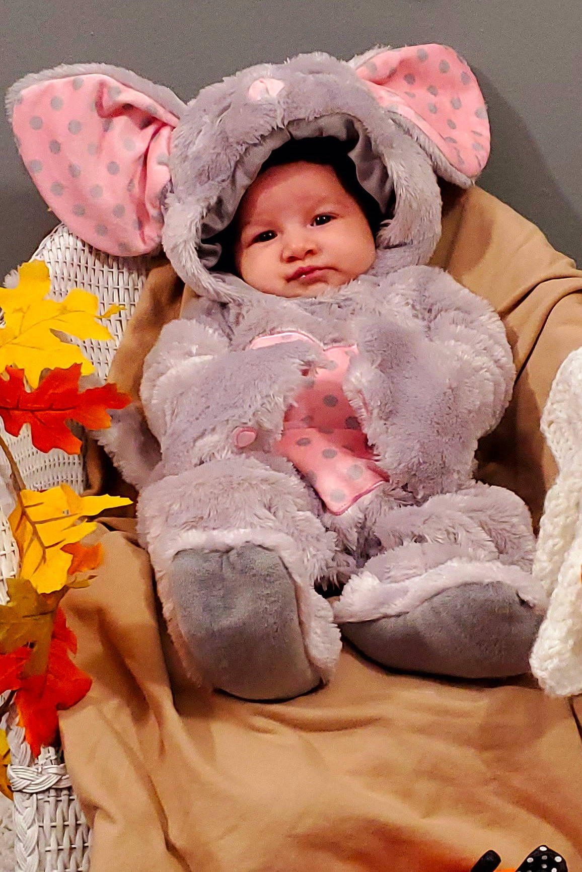 Lilith is registered to the contest to win money with this photo: baby, baby_products, baby_sleeping, baby_toddler_clothing, beanie, cheek, child, comfort, fur, happy, headgear, headwear, linens, magenta, peach, person, pink, sitting, skin, sleeve