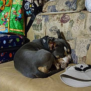 Boomerang is registered to the contest to win money with this photo: