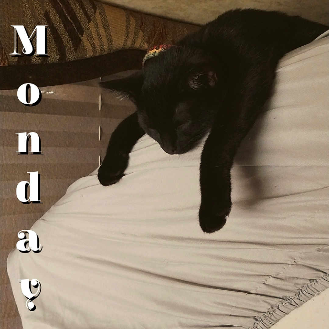 Marley