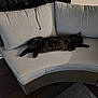 animal, black_cat, cat, cord, cozy, cushion, floor, furniture, home, indoor, living_room, pet, quiet, relaxing, resting, sleeping, sofa, wall, wicker_furniture, wood_floor