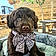 Arlo