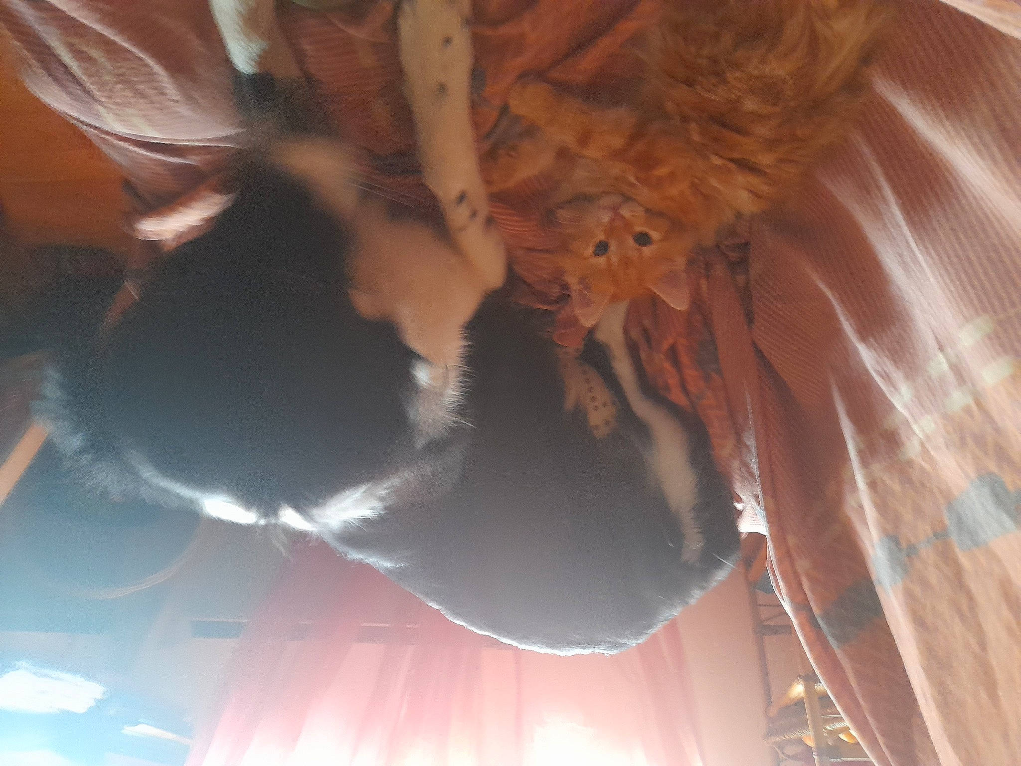 Nenette a rejoint le concours — aidez-le/la à gagner de superbes lots ! arm, ceiling, cg_artwork, eye, eyelash, fashion_accessory, feather, fur, gesture, hair, head, headgear, heat, human_body, lens_flare, long_hair, sky, tail, tree, wing