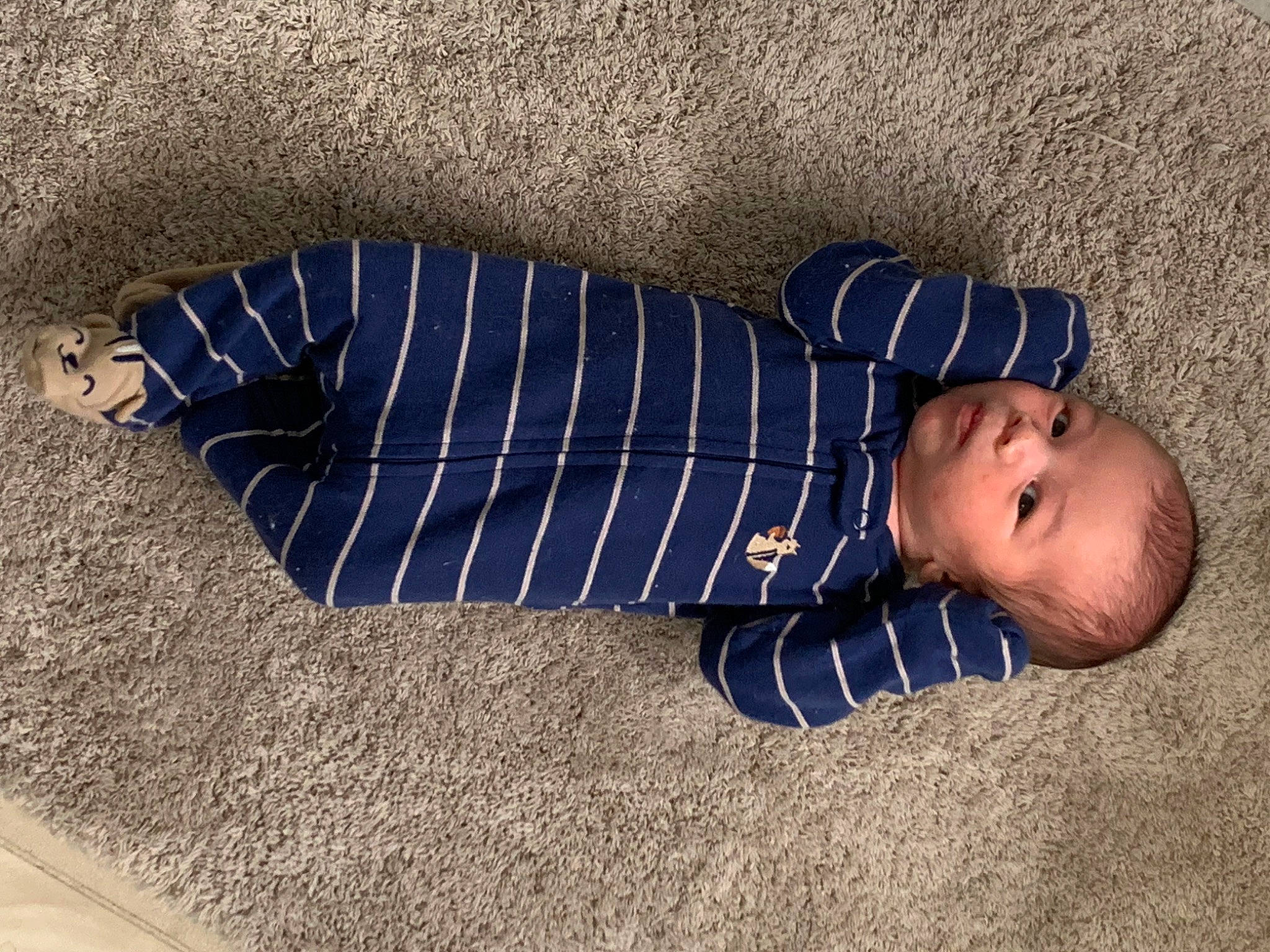 Magnus joined the competition — help win amazing prizes! baby, baby_toddler_clothing, child, comfort, denim, electric_blue, flooring, grass, grey, human_leg, pattern, person, sand, shadow, sitting, sleeve, soil, t_shirt, toddler, wood