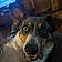 Pepper