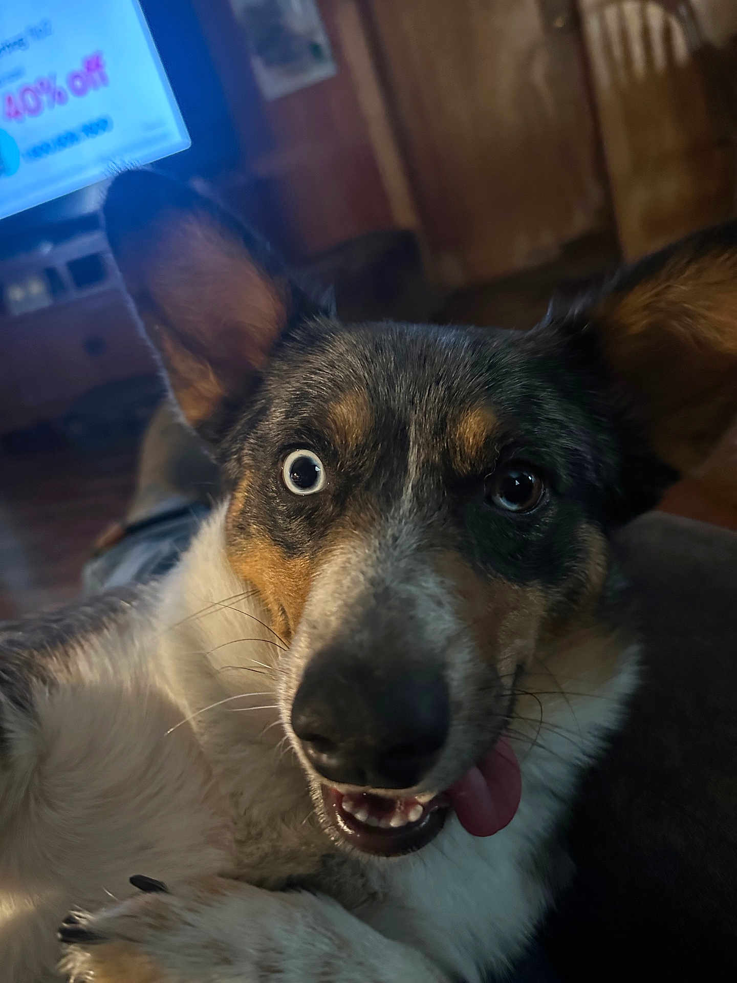 Pepper