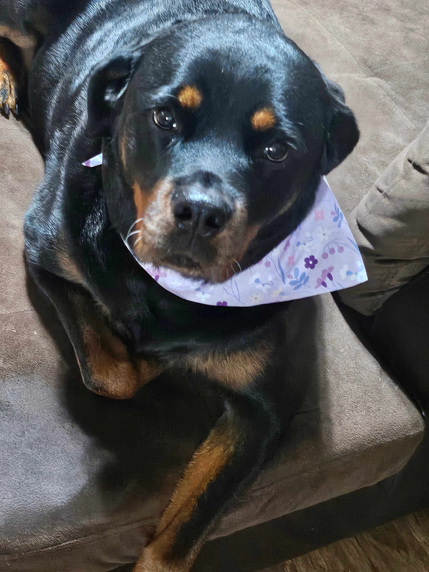 Fiona