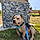 Balou
