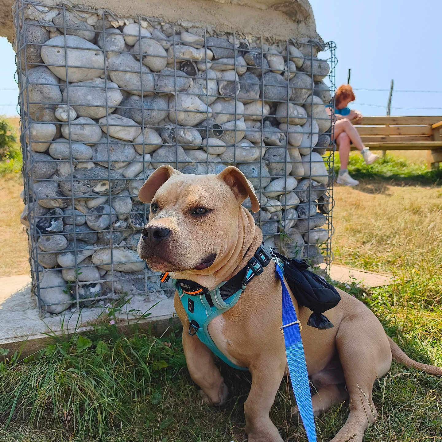 Balou