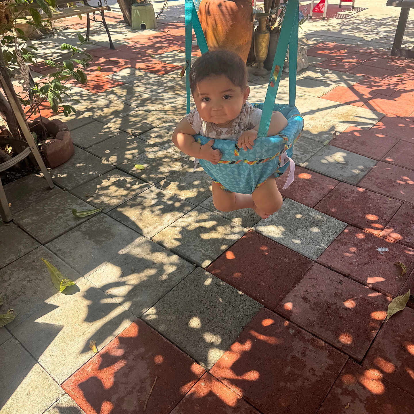 Daniel joined the competition — help win amazing prizes! baby, child, infant, swing, playground, outdoor, patio, tiles, sunlight, shadows, plants, garden, seated, hanging, portrait, face, short_hair, clothing, play_equipment, daytime