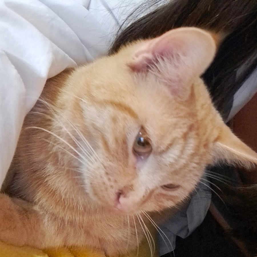 Caramel