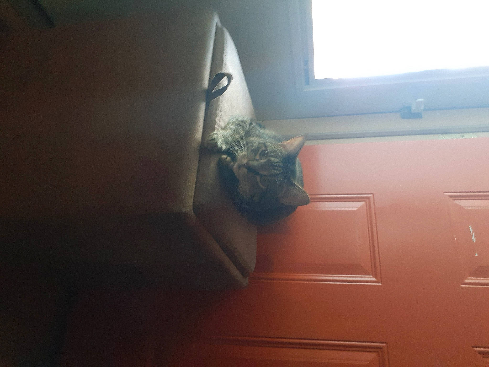 Jazmin joined the competition — help win amazing prizes! ceiling, comfort, daylighting, fixture, flooring, hardwood, house, houseplant, plaster, rectangle, room, sash_window, shade, stairs, tints_and_shades, window, window_covering, window_treatment, wood, wood_stain